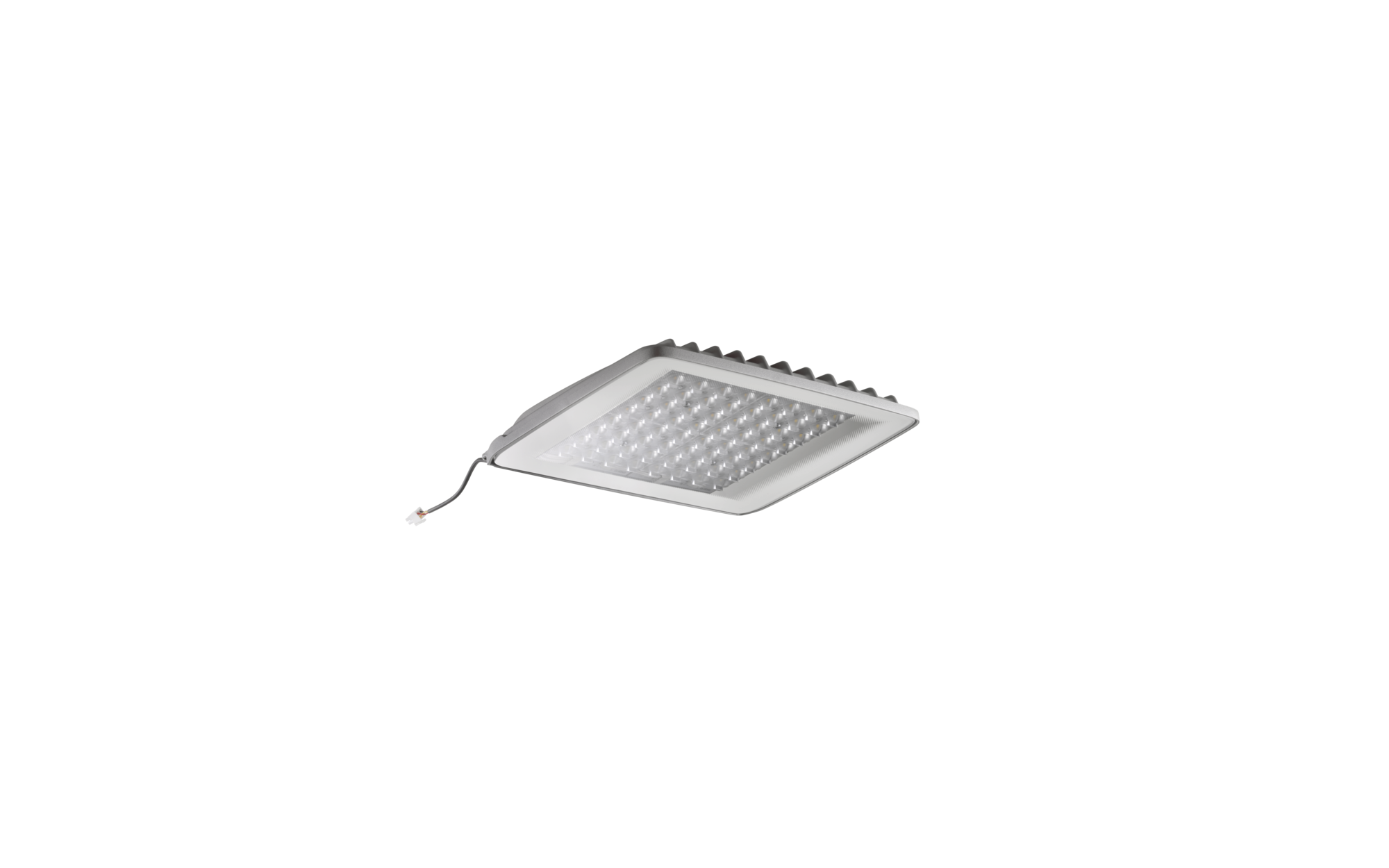 Floodlight FL 20 | SITECO